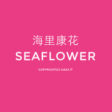 Load image into Gallery viewer, VINCENT VAN GOGH" T Shirt Women